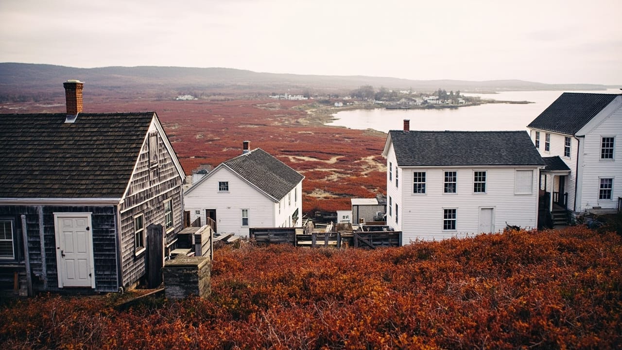 Maine cannabis city guides: Machias, ME Dispensary Guide — Indian Trail Farms & Lake Smoke Farm 2026